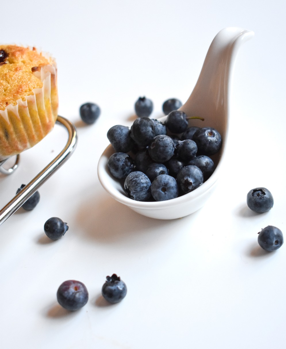 {GF} Coconut Flour Blueberry Muffins 17