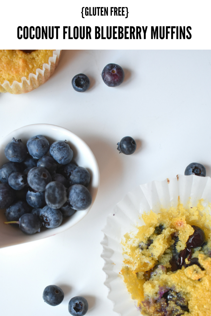 {GF} Coconut Flour Blueberry Muffins 19
