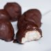 Dark Chocolate & Coconut Bites 26