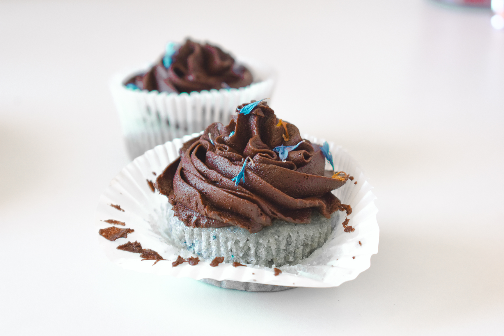 Blue Matcha and Chocolate Cupcakes